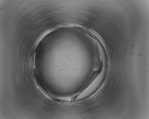 X0000083971385200703161520