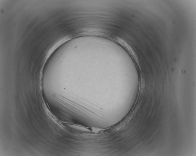 X0000083971386200703161520