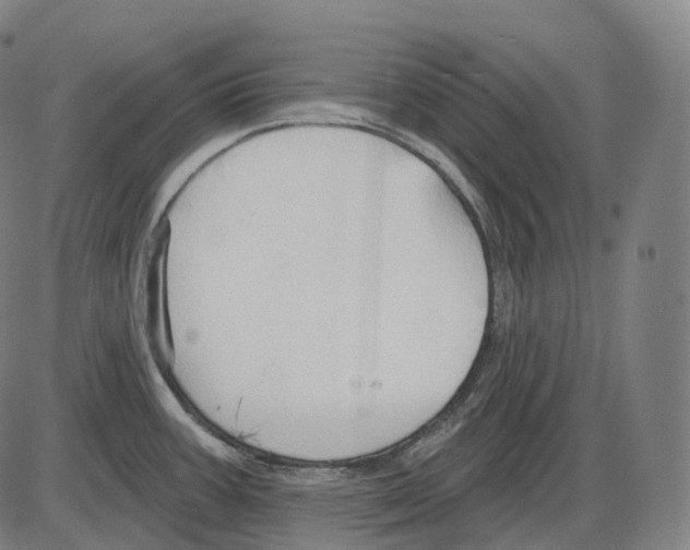 X0000083971387200703161520