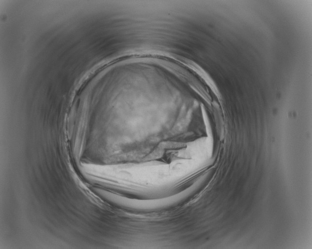 X0000083971388200703161520