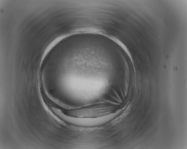 X0000083971389200703161520