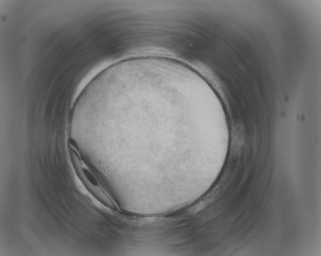 X0000083971390200703161520