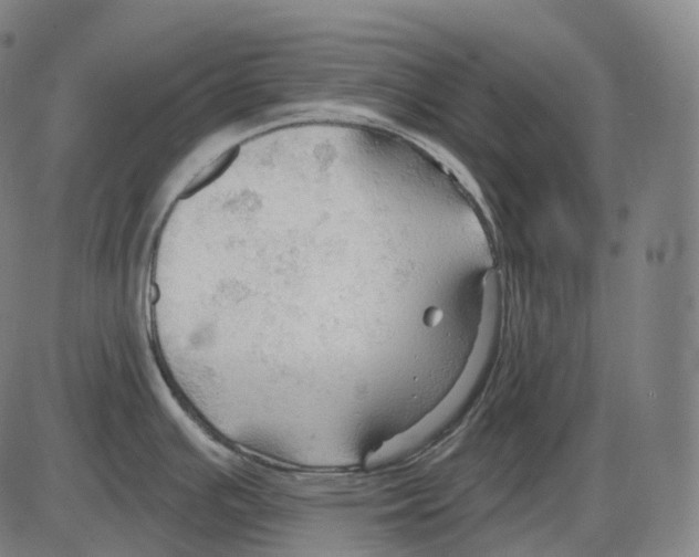 X0000083971391200703161520