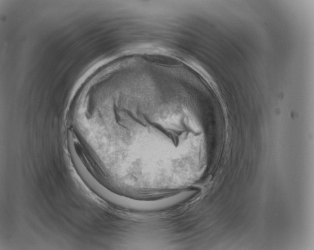 X0000083971392200703161520