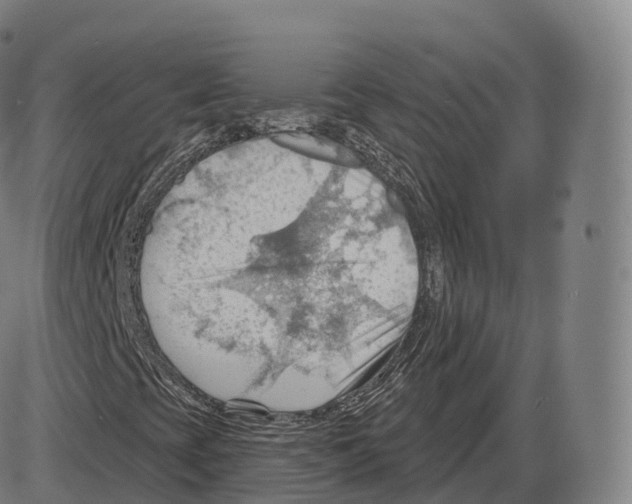 X0000083971393200703161519