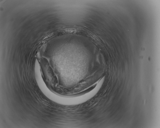 X0000083971394200703161519