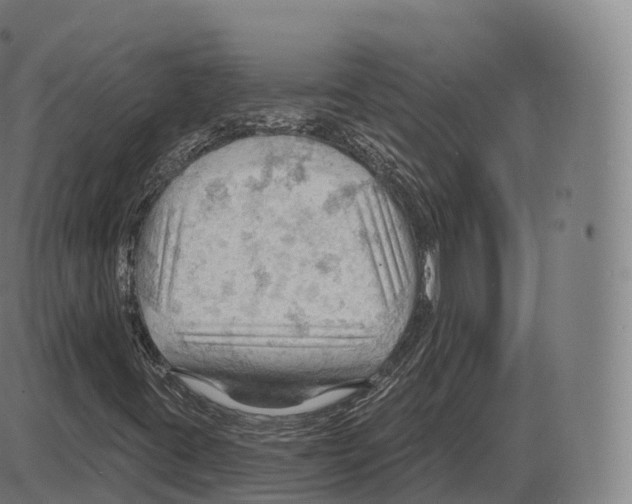 X0000083971395200703161519