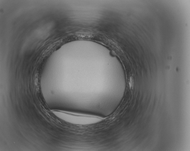 X0000083971396200703161519