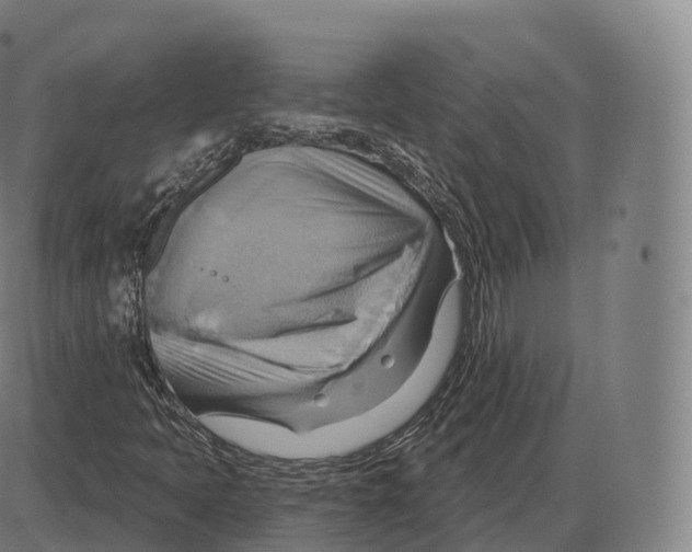 X0000083971397200703161519