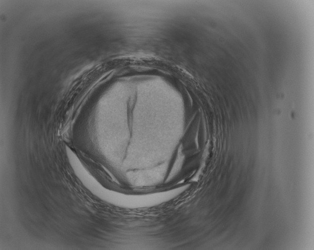 X0000083971398200703161519