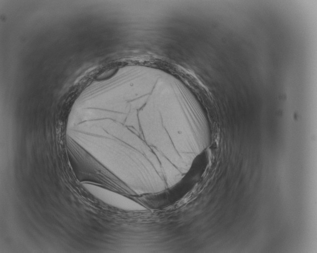 X0000083971399200703161519