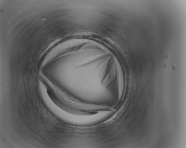 X0000083971401200703161519