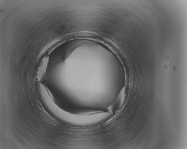 X0000083971402200703161519