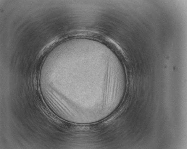 X0000083971403200703161519