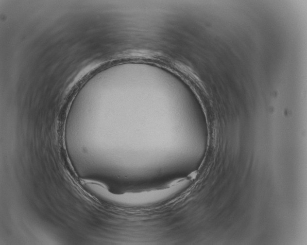 X0000083971404200703161519