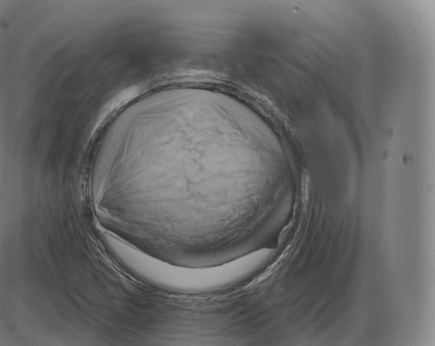 X0000083971405200703161519