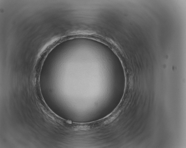 X0000083971406200703161519