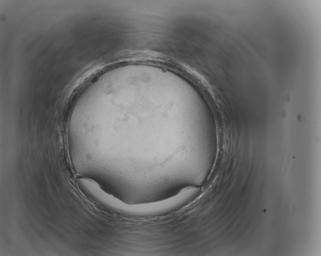 X0000083971407200703161519