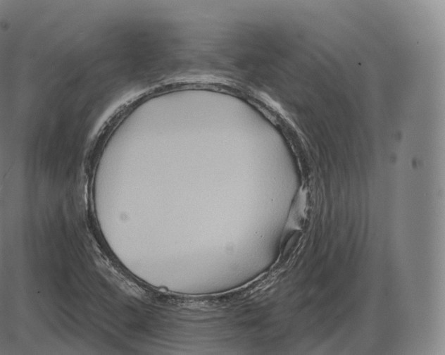 X0000083971408200703161519