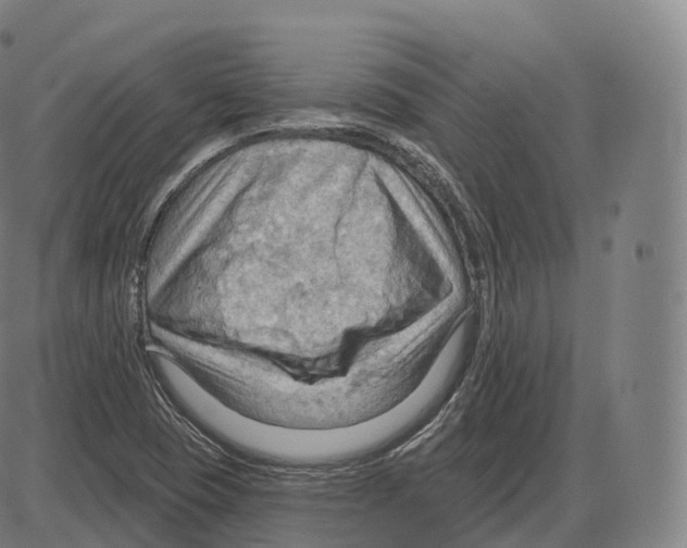 X0000083971409200703161519