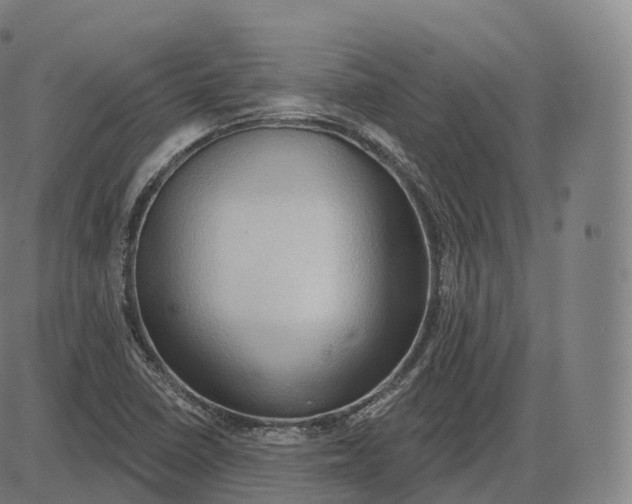 X0000083971410200703161519