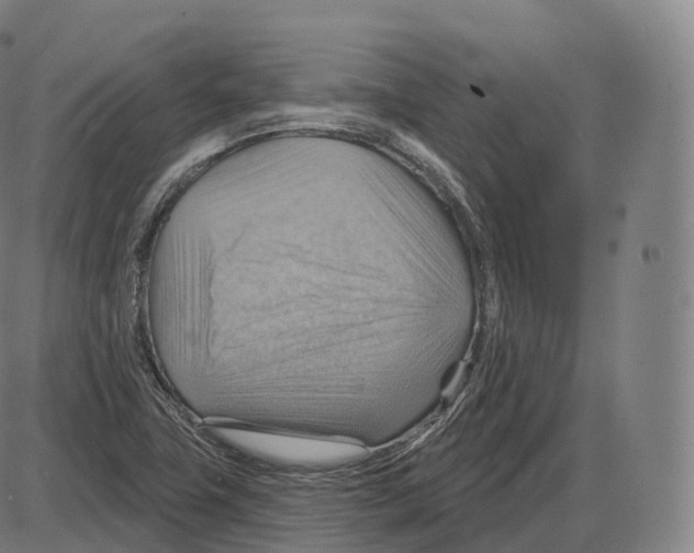 X0000083971411200703161519