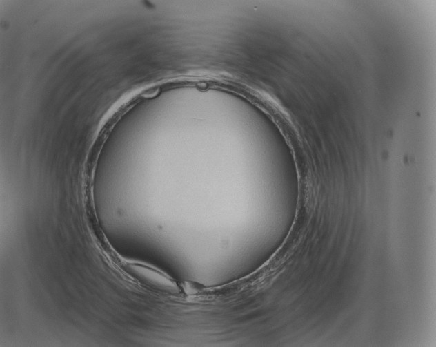 X0000083971412200703161519