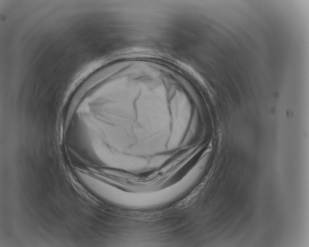 X0000083971413200703161519