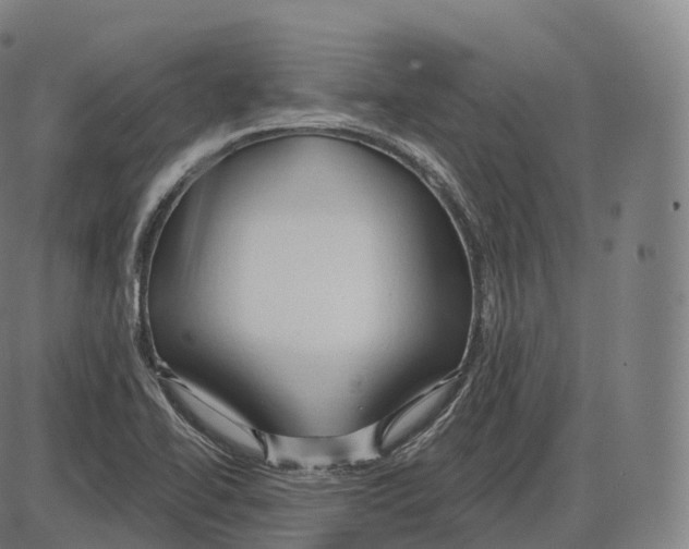 X0000083971414200703161519