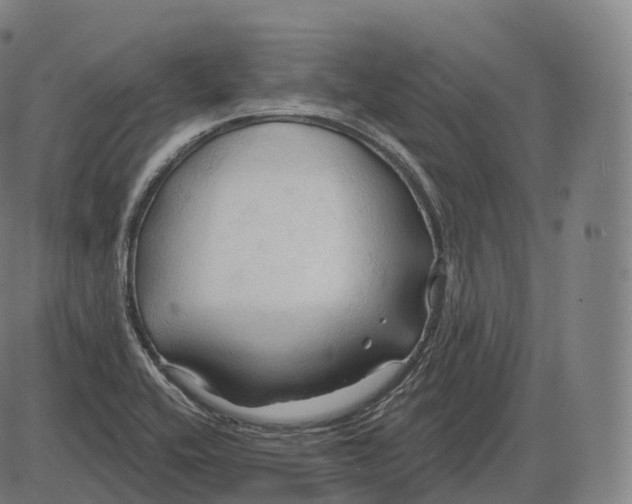 X0000083971416200703161519