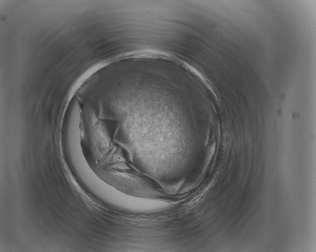 X0000083971418200703161519