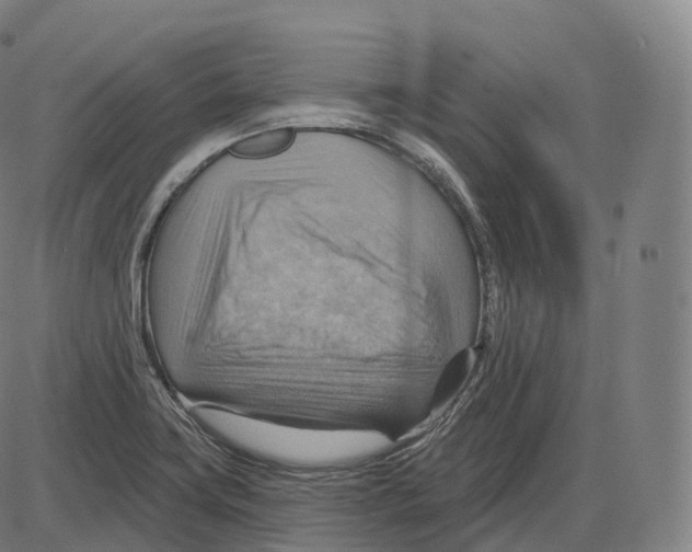 X0000083971419200703161519