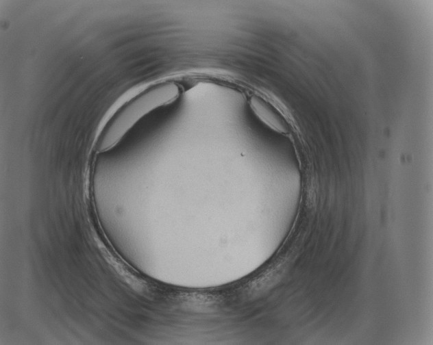 X0000083971420200703161519