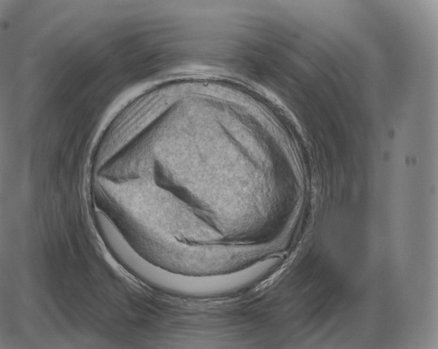 X0000083971421200703161519