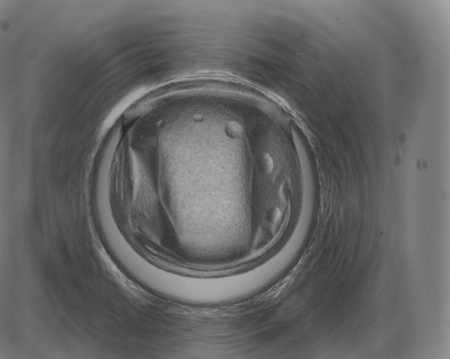 X0000083971422200703161519