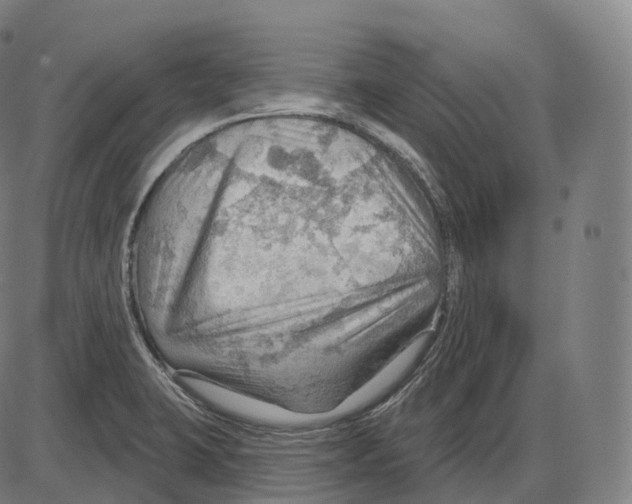 X0000083971423200703161520