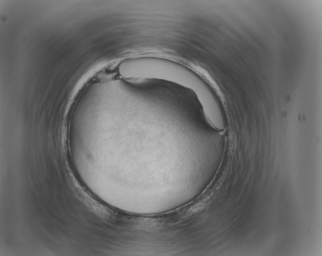 X0000083971424200703161520