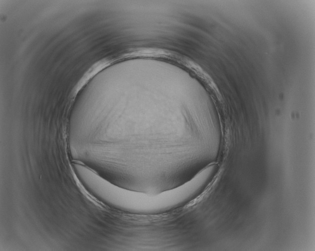 X0000083971425200703161520