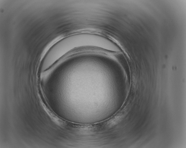 X0000083971426200703161520