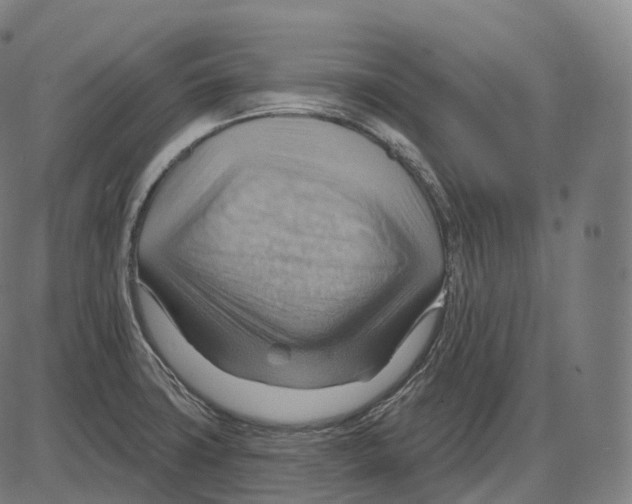 X0000083971427200703161520