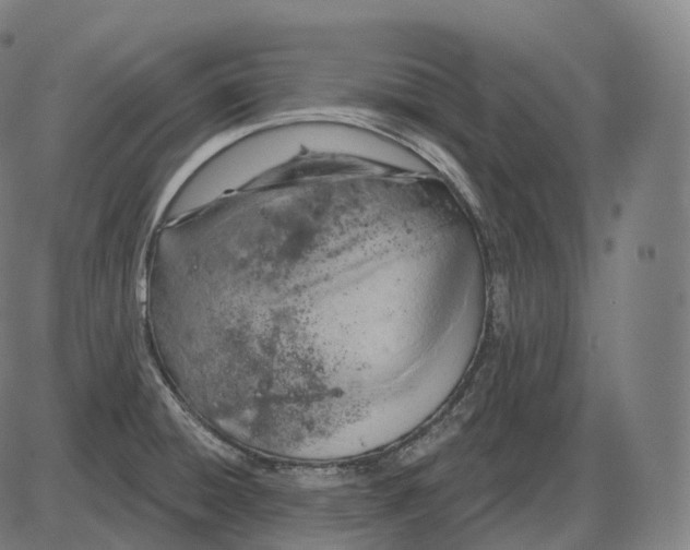 X0000083971428200703161520