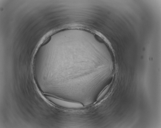 X0000083971429200703161520