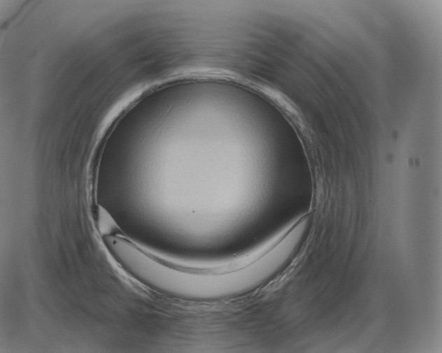 X0000083971430200703161520