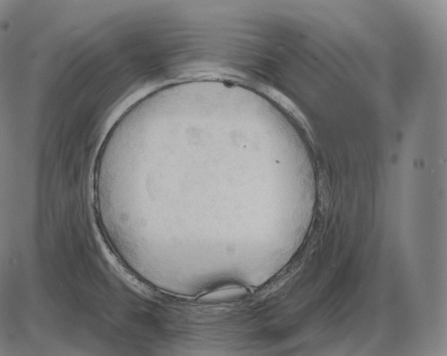 X0000083971431200703161520