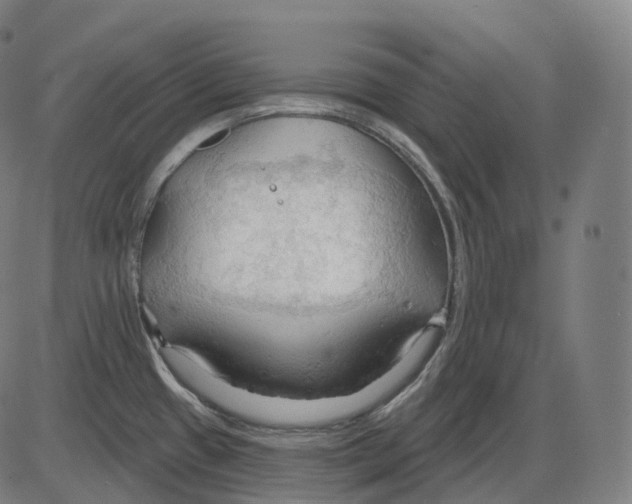 X0000083971433200703161520