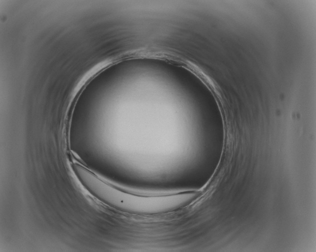 X0000083971434200703161520