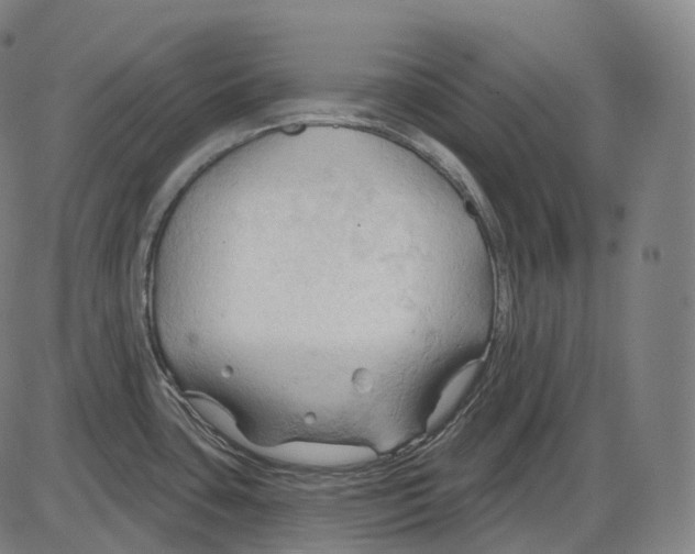 X0000083971435200703161520