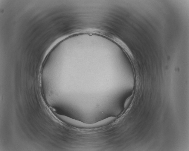 X0000083971436200703161520