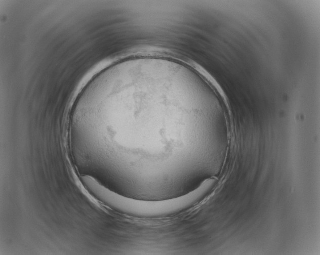 X0000083971437200703161520