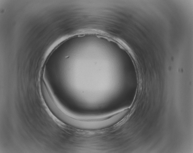 X0000083971438200703161520